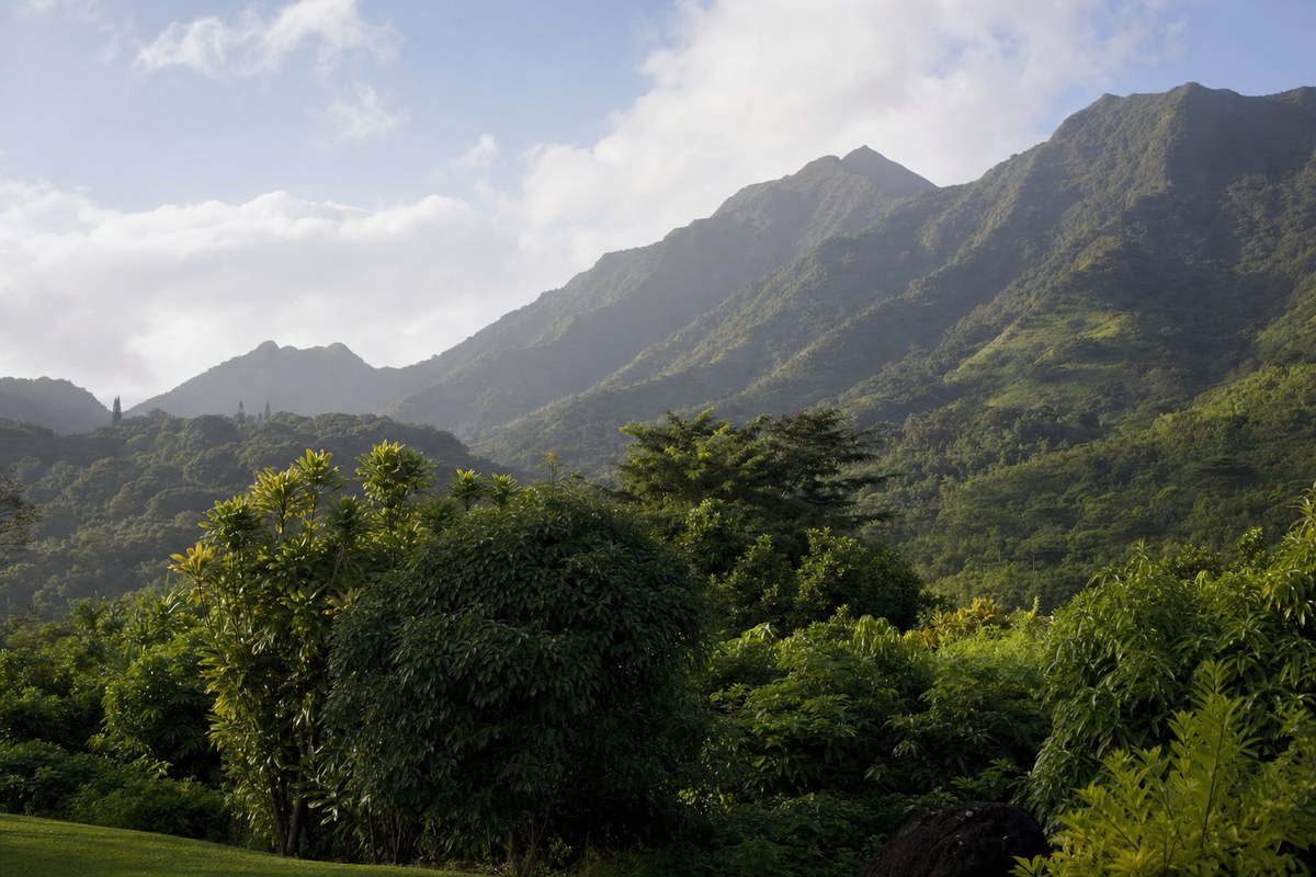 Gov. Green: Tropical Storm Moke Impacts Lighter Than Feared as Hawaii Island Recovery Continues