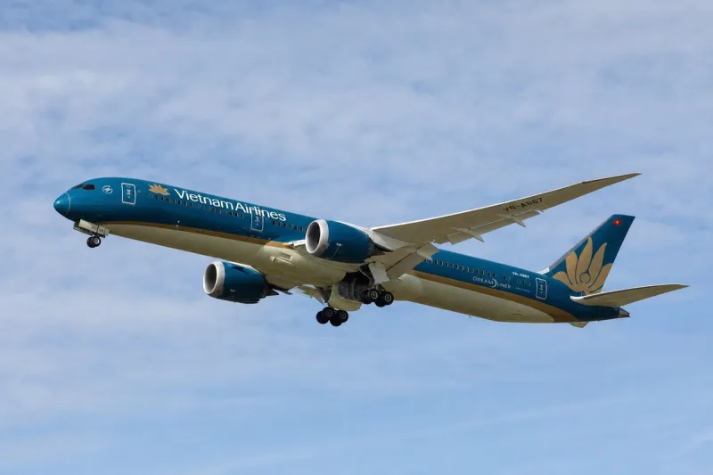Business jet (file photo)