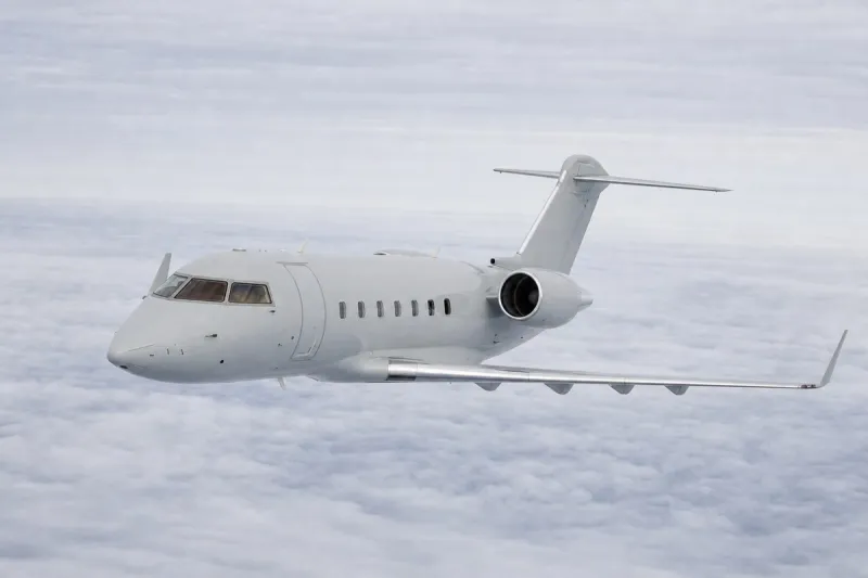 Business jet (file photo)