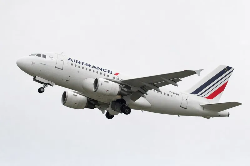 Business jet (file photo)