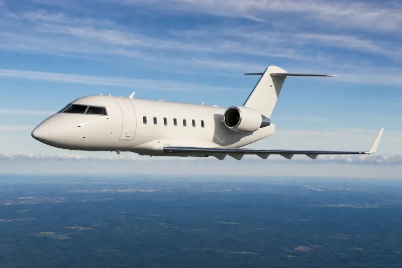 Business jet (file photo)