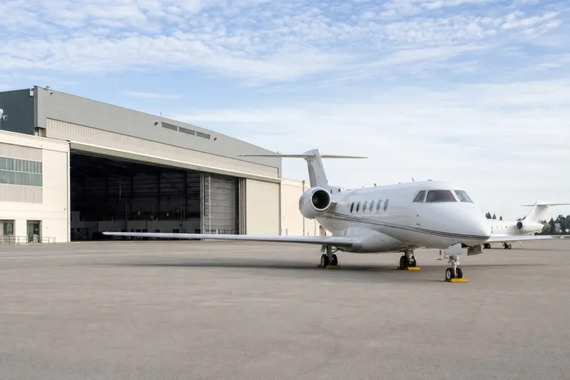 Business jet (file photo)
