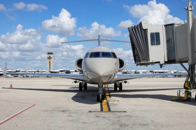 Business jet (file photo)