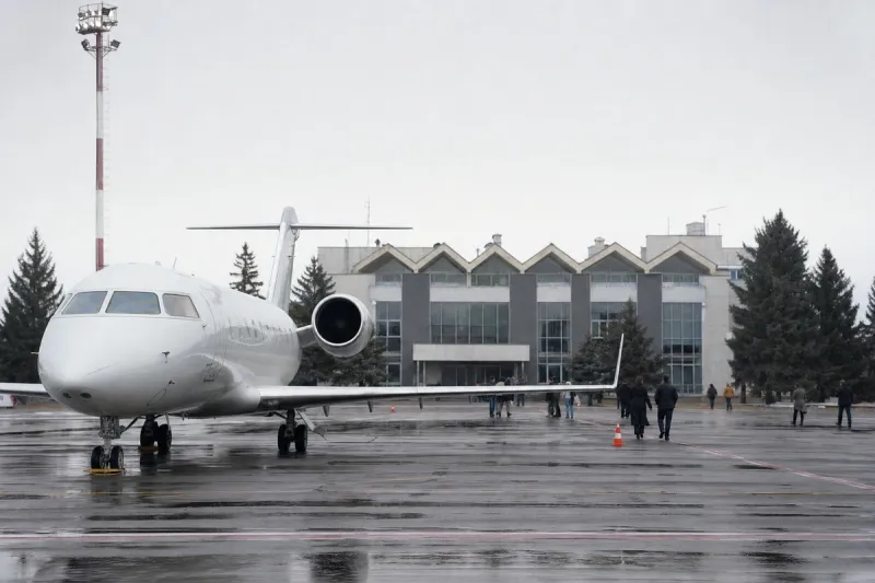 Business jet (file photo)