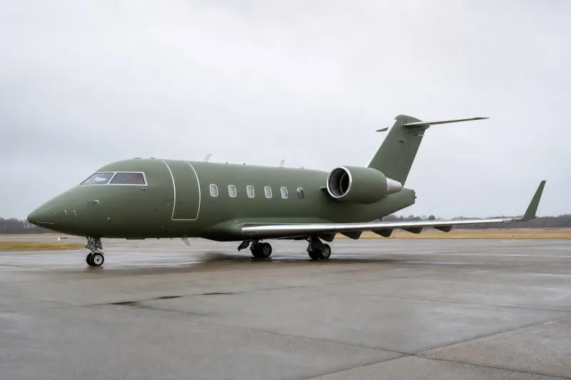 Business jet (file photo)