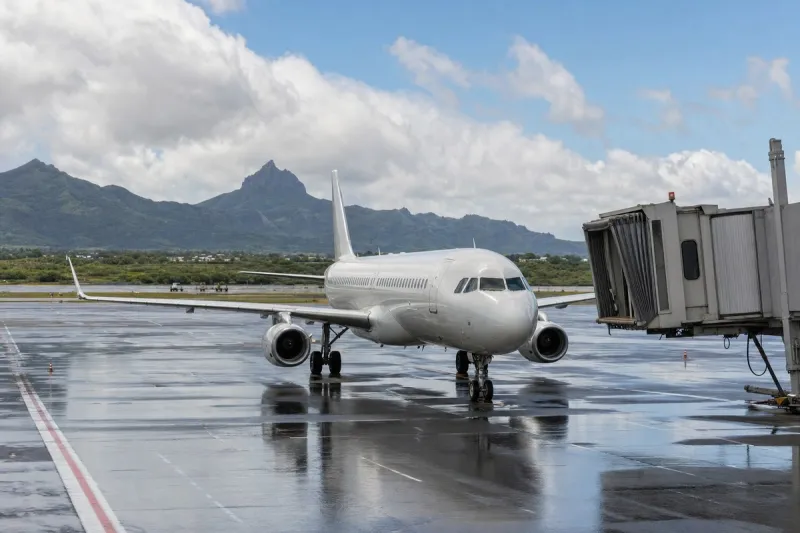 Business jet (file photo)