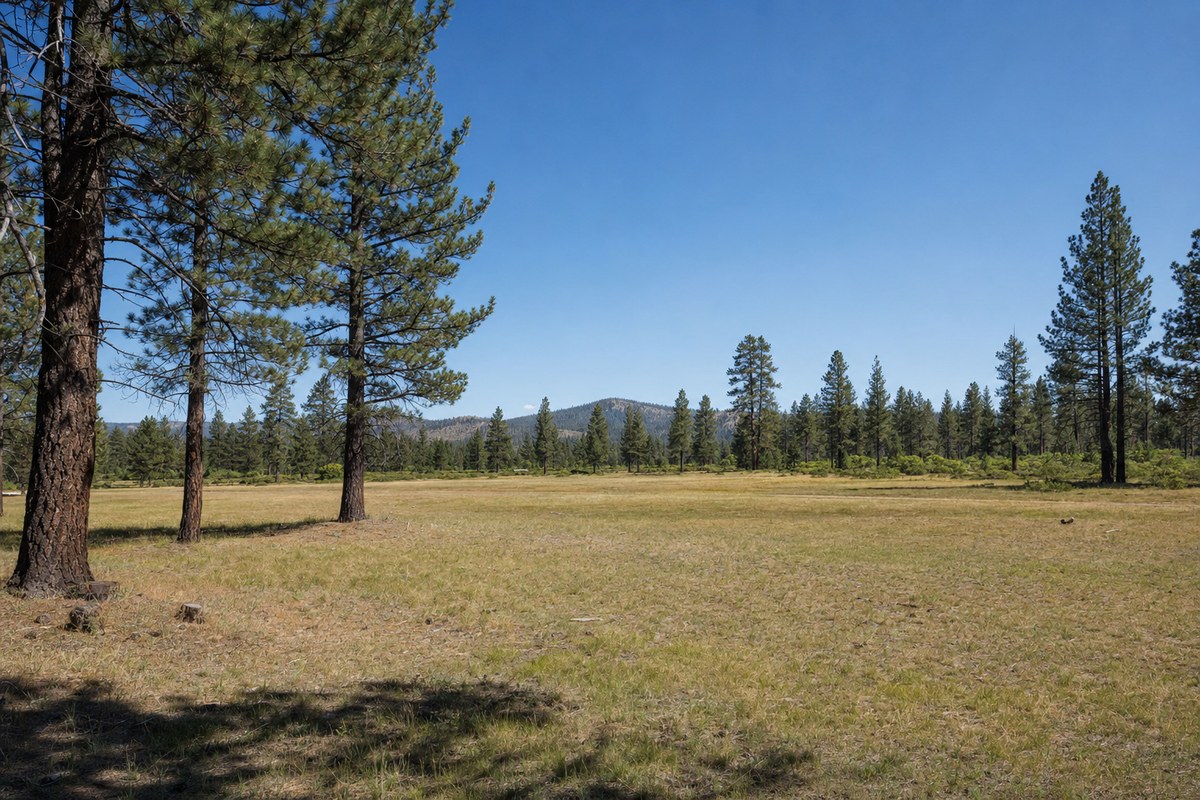JRBAF Purchases 136-Acre Sierra Nevada Property to Develop New Public Backcountry Airstrip