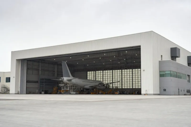 Business jet (file photo)