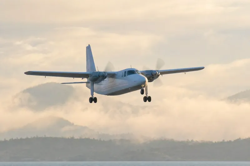 Business jet (file photo)