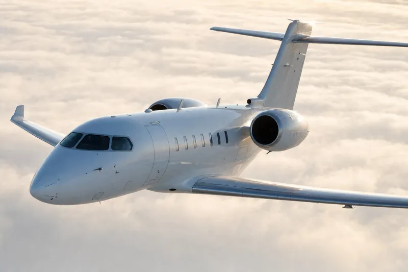 Business jet (file photo)