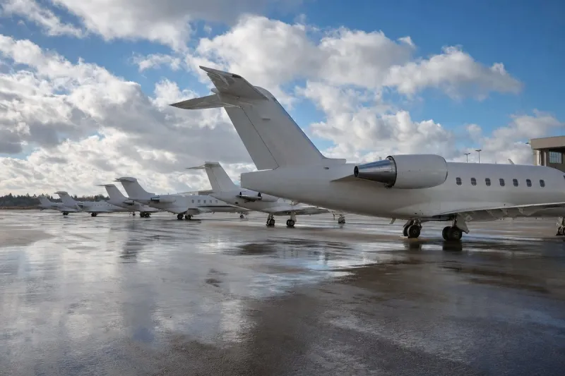 Business jet (file photo)