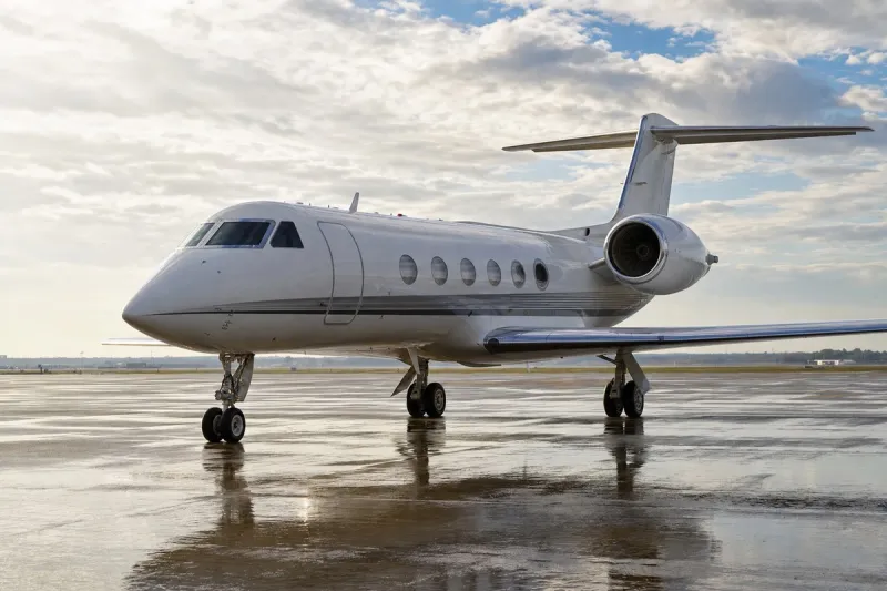 Business jet (file photo)