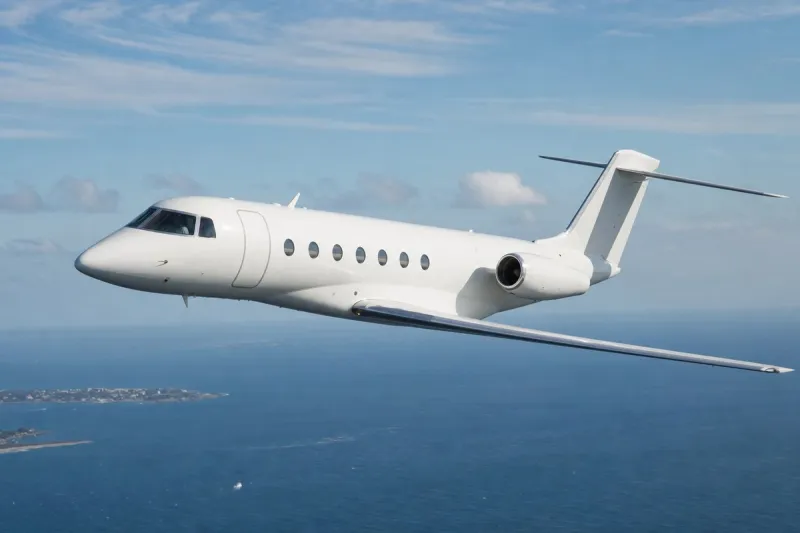 Business jet (file photo)