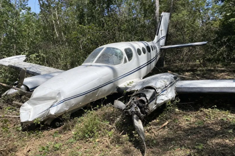 Business jet (file photo)