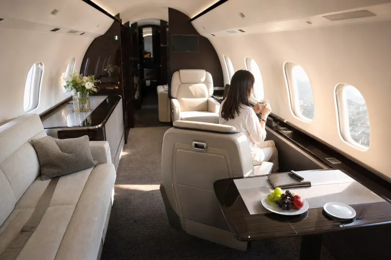 Business jet (file photo)