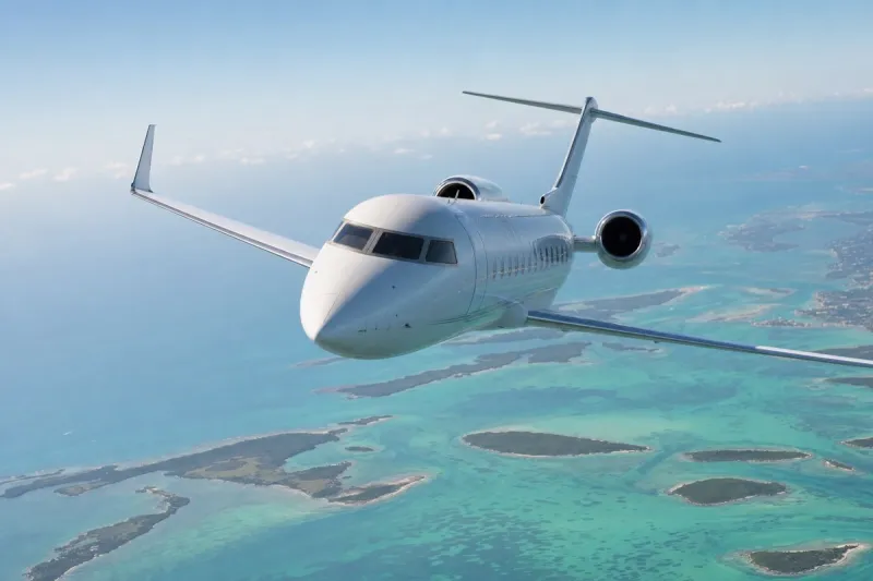 Business jet (file photo)