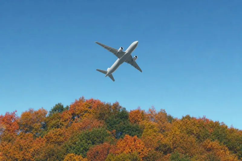 Business jet (file photo)