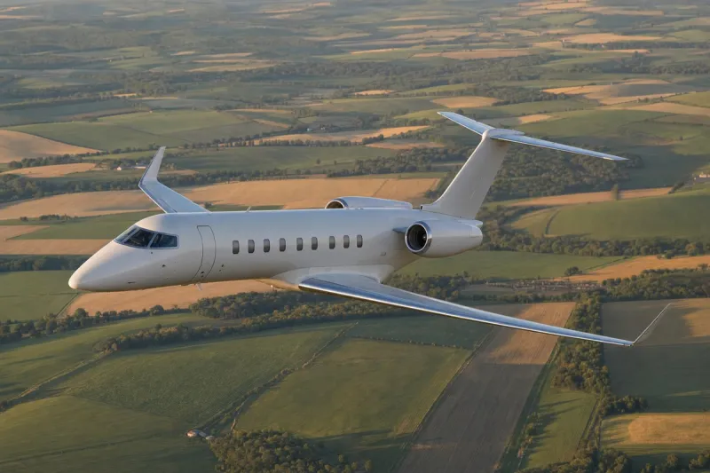 Business jet (file photo)