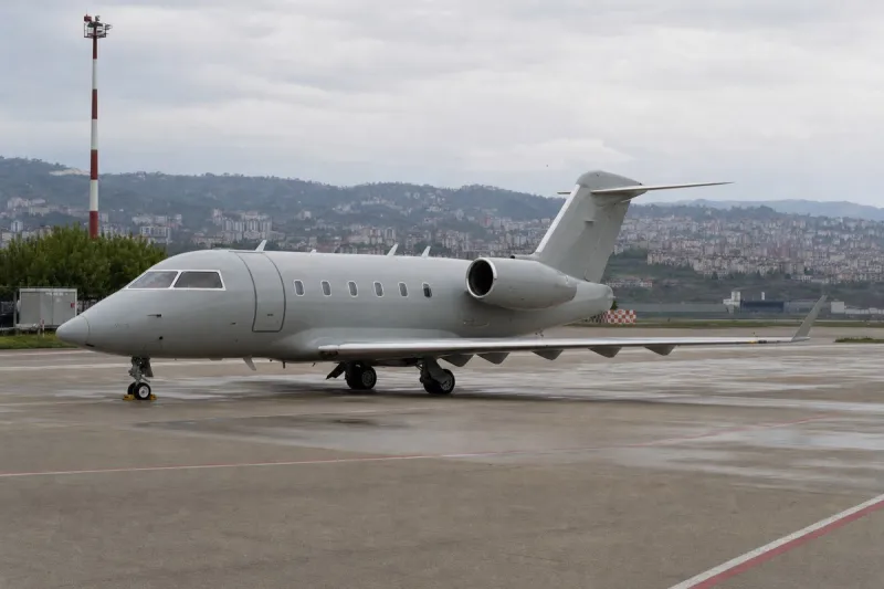 Business jet (file photo)