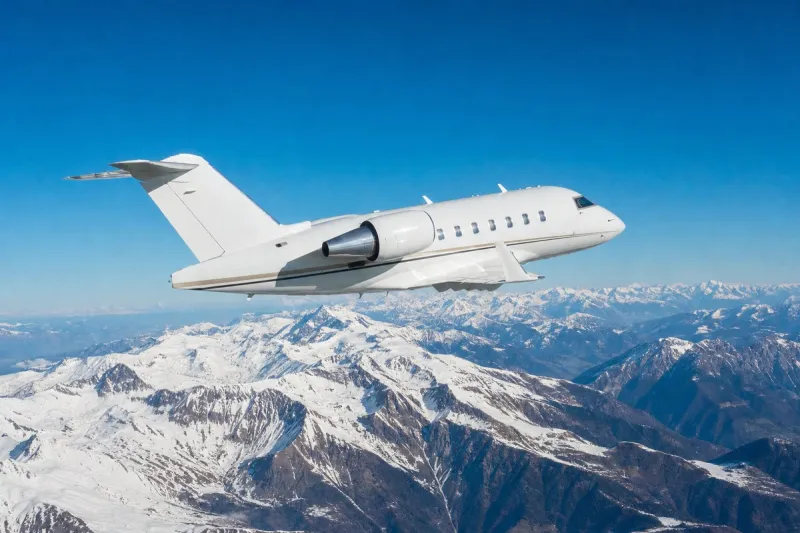 Business jet (file photo)