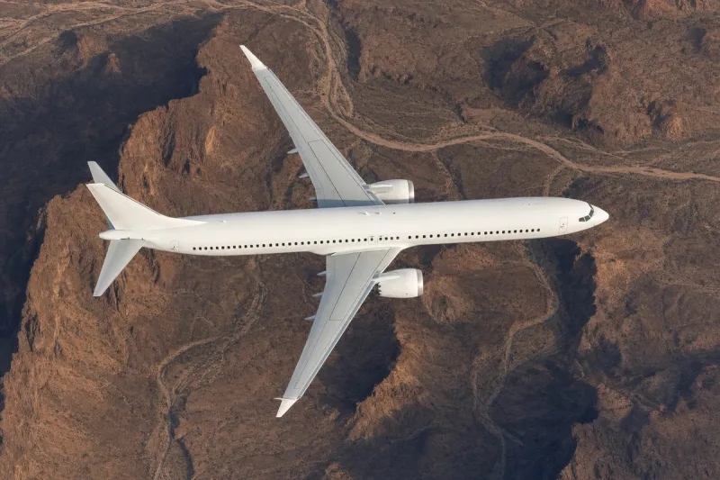 Business jet (file photo)