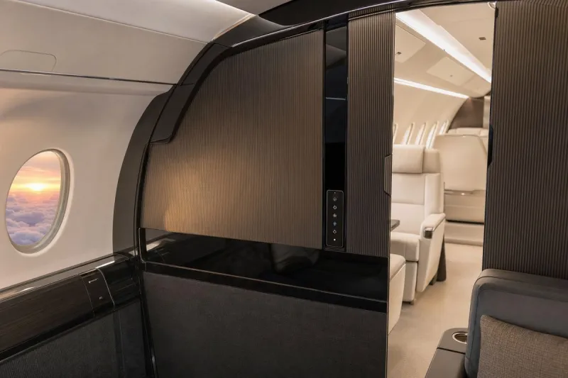 Business jet (file photo)