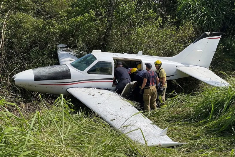 Business jet (file photo)